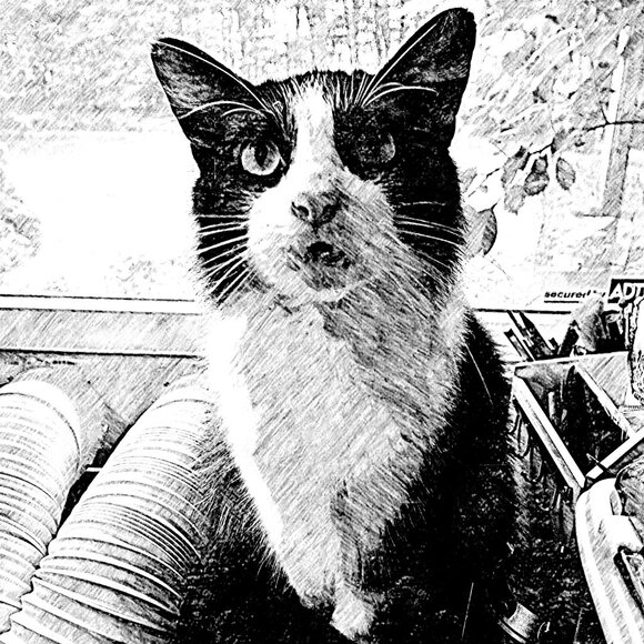 Meet your Posher, Caeli - Picture 11 of 16